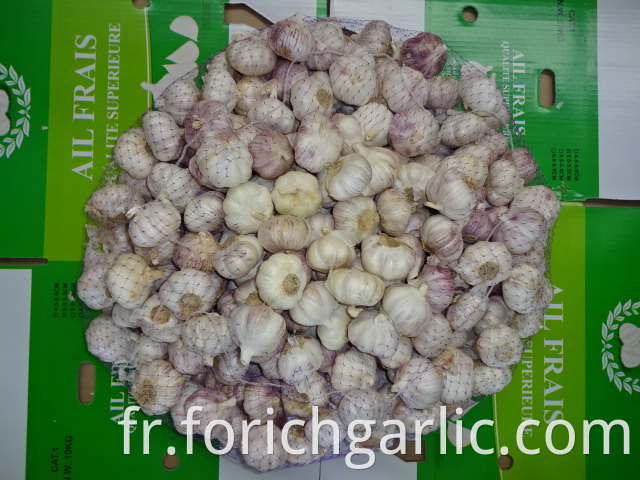 High Quality Fresh Garlic